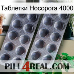 Таблетки Носорога 4000 31